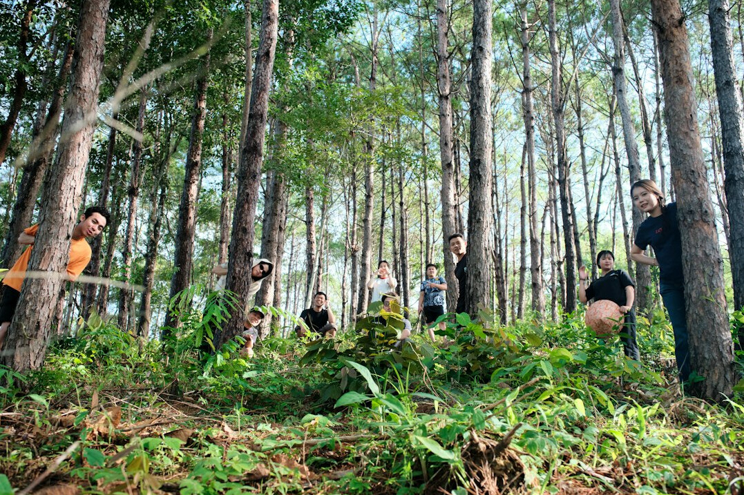 team building outdoors